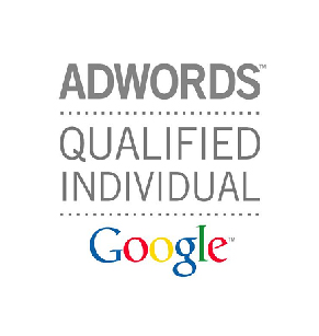 Adwords Qualified Individual Google