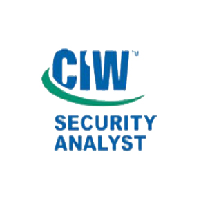 Security Analyst